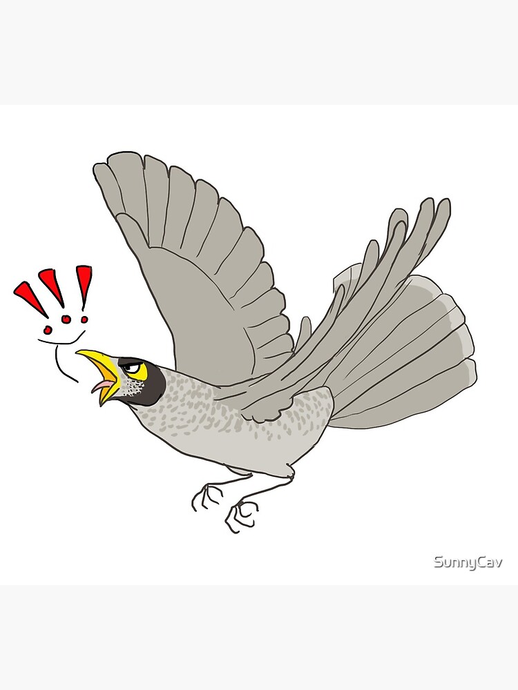 Noisy Miner Der Echte Bose Vogel Postkarte Von Sunnycav Redbubble