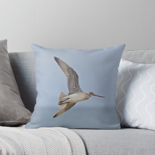 Item preview, SHOREBIRD ~ Bar-tailed Godwit XQCV6Gpd by David Irwin designed and sold by tasmanianartist.