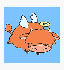 Angel Highland Cow Photographic Print