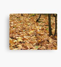 Golden carpet Canvas Print