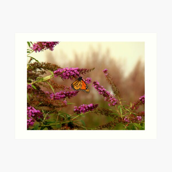 Migration Art Print