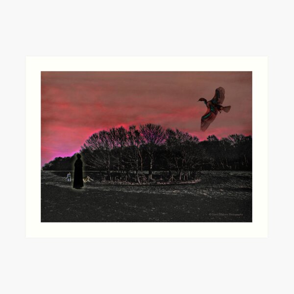 Fantasy Flight Art Print