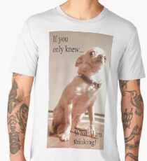 Benny the little chihuahua, Men's Premium T-Shirt