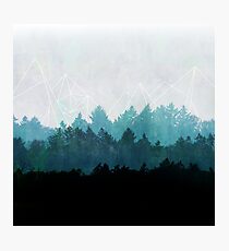 Woods Abstract Photographic Print
