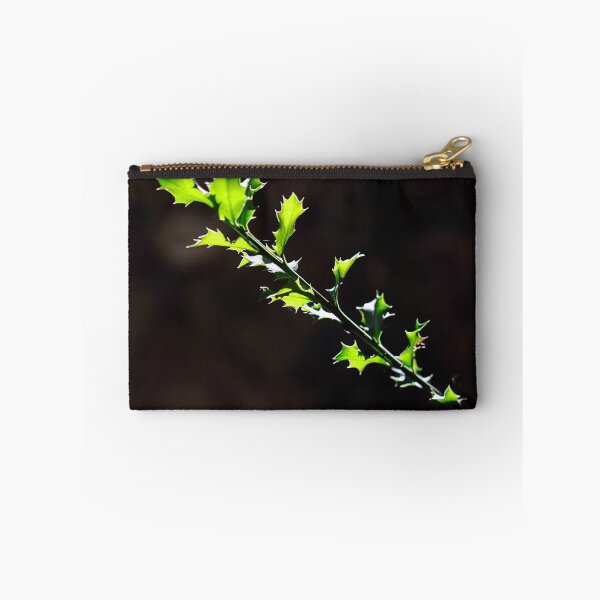 Item preview, Seeking the light. designed and sold by Paul Pasco.