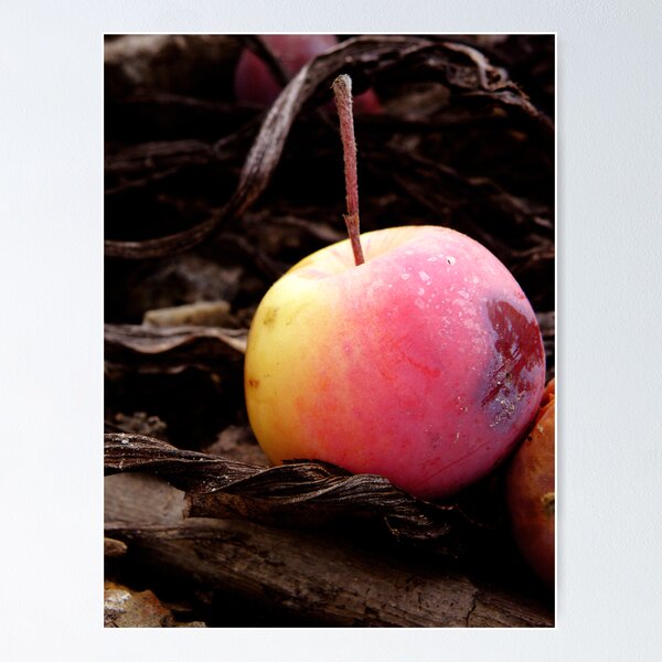 Item preview, Crete Fruit designed and sold by Charlotte Harold.