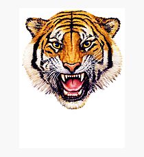 snarling tiger t-shirt design Photographic Print