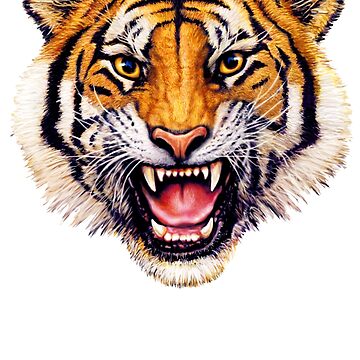 Tiger  T-Shirt Design
