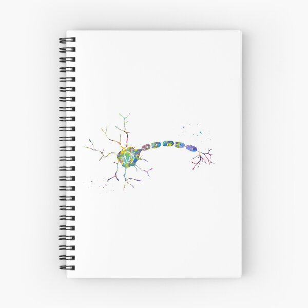 Item preview, Anatomy of a typical human neuron designed and sold by Liededrom..
