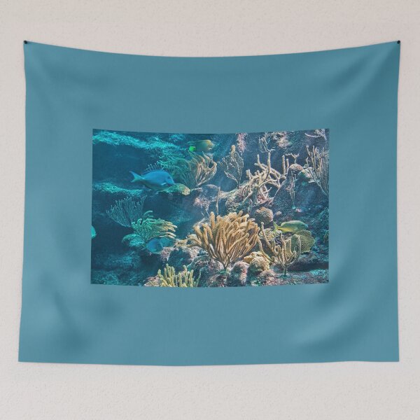 Item preview, Aquarium. Xcaret Eco Park. Mexico designed and sold by vadim19.
