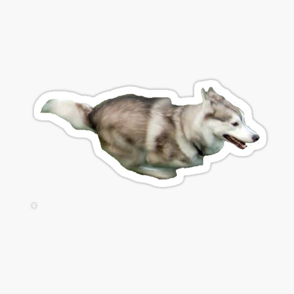 Very Fast Doggo Running At Incredible Hihg Speed Sticker By P0pculture3 Redbubble - very fast doggo running incredible hihg speed roblox