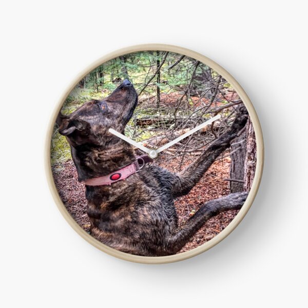 Squirrel Chasing Plott Hound Clock