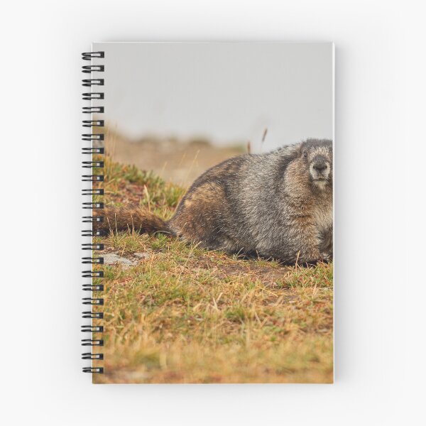 Item preview, Hoary Marmot designed and sold by Eunice Gibb.