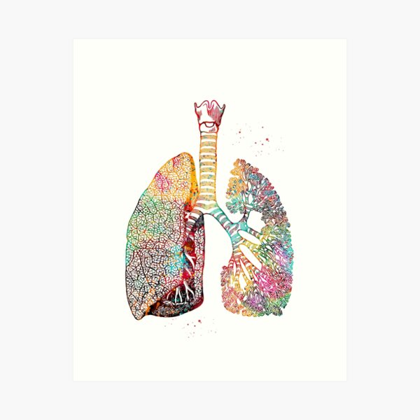 Item preview, Lungs Art designed and sold by Liededrom..