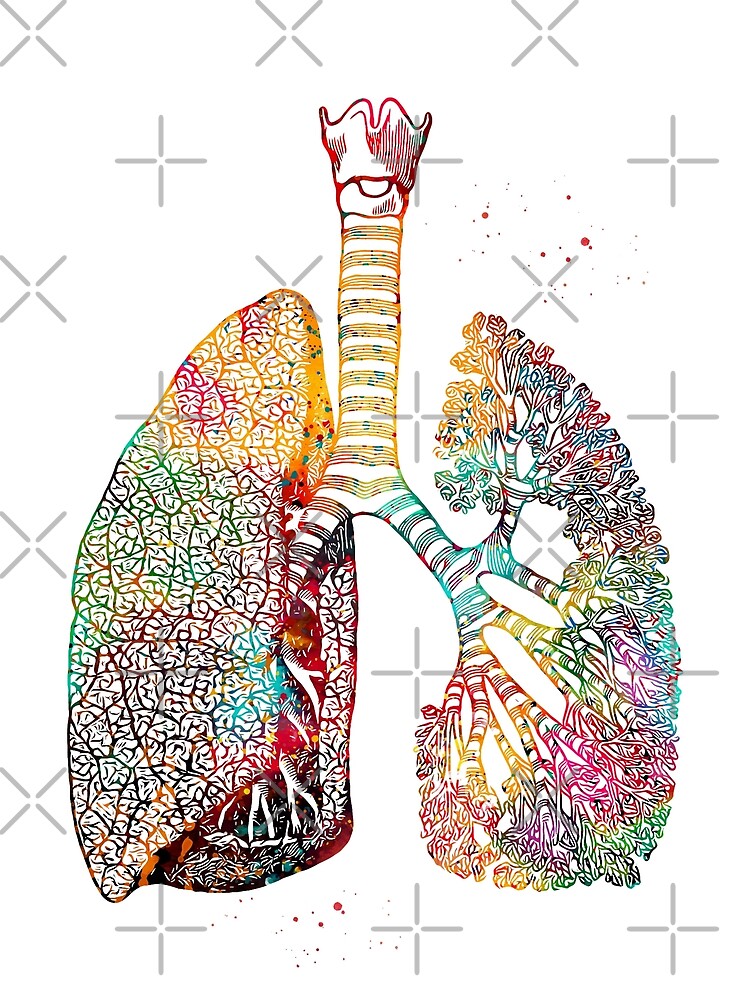 Lungs Art by erzebetth