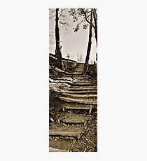walkway Photographic Print