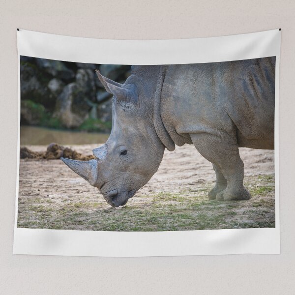 Item preview, Rhino designed and sold by Sebastian Chalupa.
