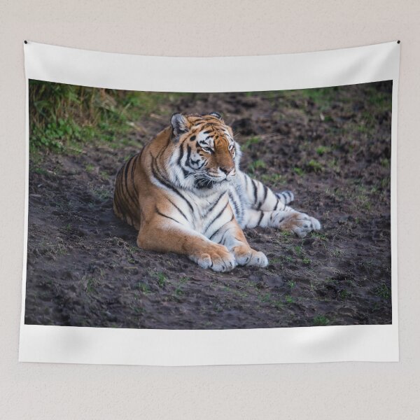 Item preview, Tiger designed and sold by Sebastian Chalupa.