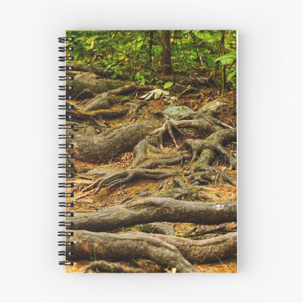 Item preview, French River Roots designed and sold by colorfulbundles.