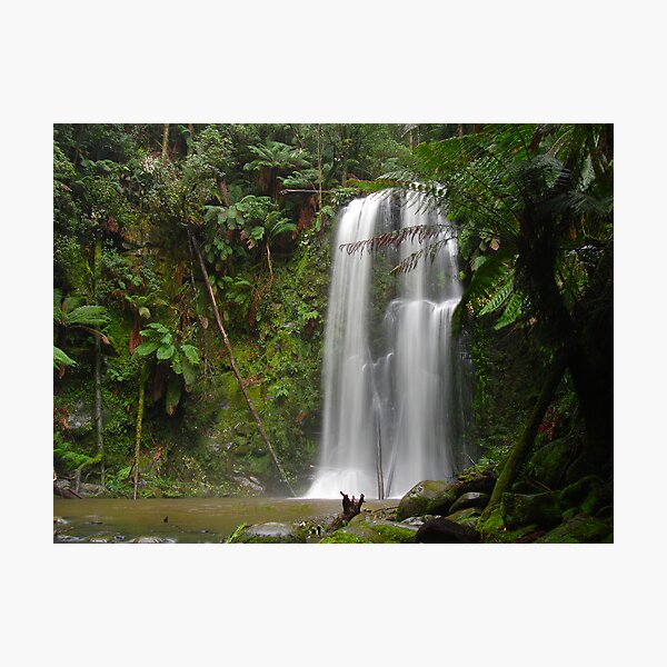 Item preview, Beauchamp Falls designed and sold by bonsta.