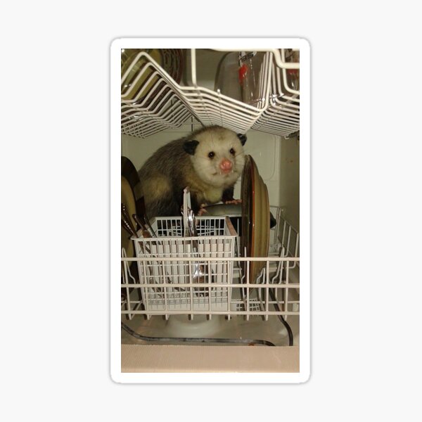 Dishwasher Possum  Sticker