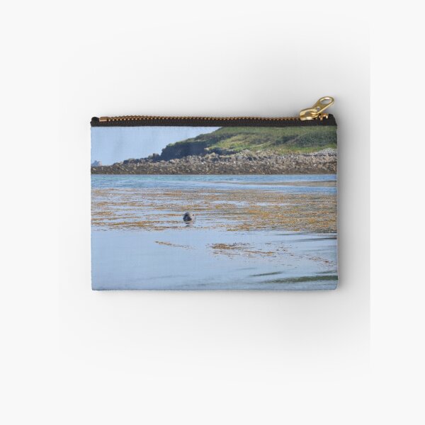 Item preview, Seal In The Isles Of Scilly designed and sold by Malcolm Snook.