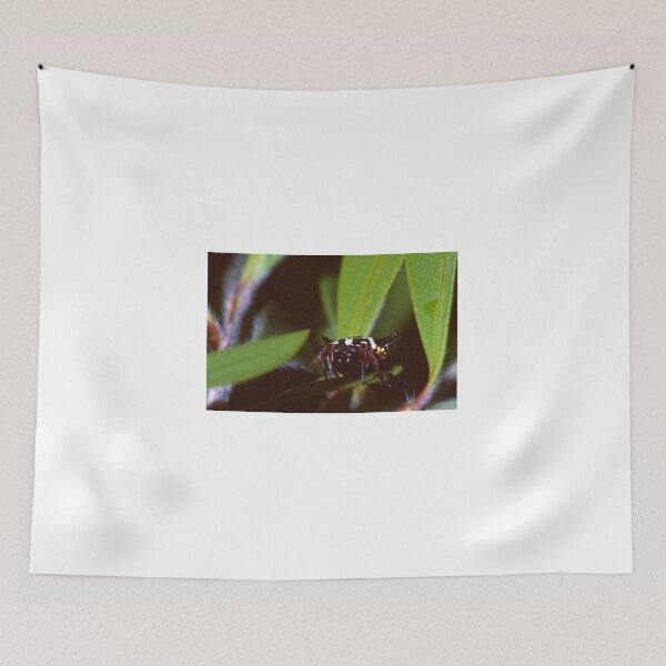 Item preview, 6 Horned Spider designed and sold by GP1746.