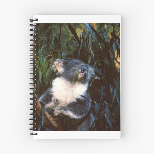 Aperçu de l'œuvre Koala 2 créée et vendue par GP1746.