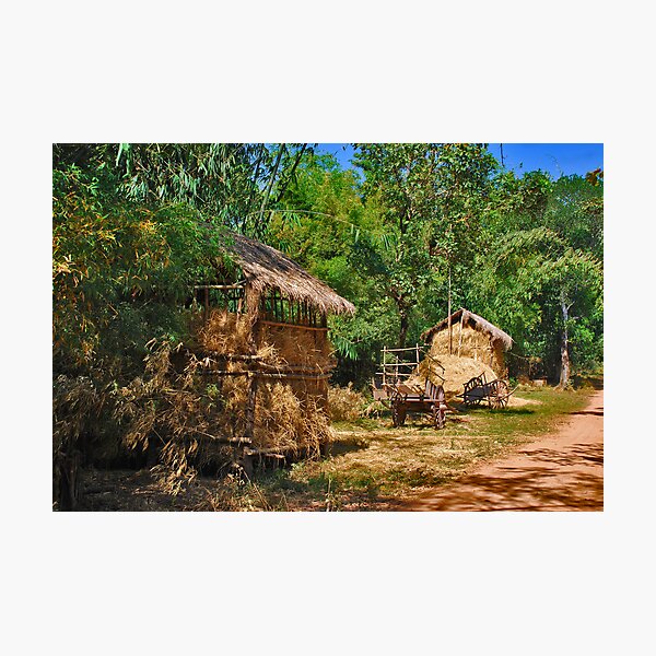 Rural Cambodia Photographic Print