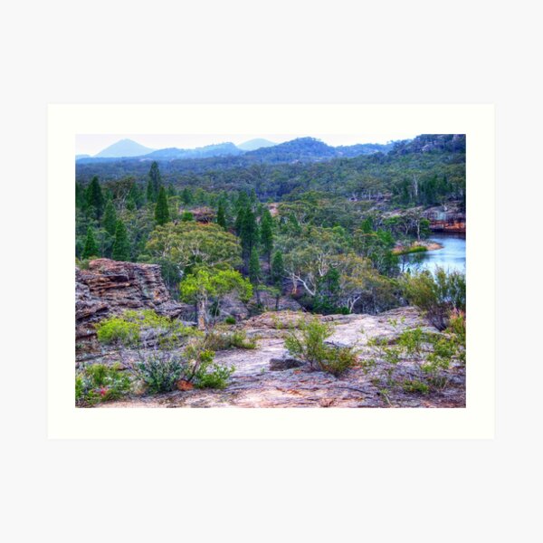 Wollemi National Park Art Print