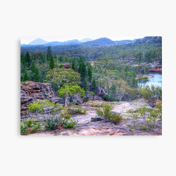 Wollemi National Park Metal Print