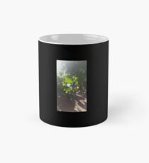 Convolvulaceae Mug