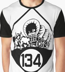 Nebraska State Highway N-134 (1926) | United States Highway Shield Sign Sticker Graphic T-Shirt