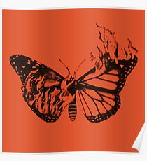 Póster Mariposa HFK