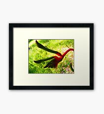 It's A Small World Framed Print