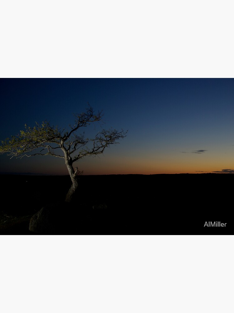 Sunset Season by AlMiller