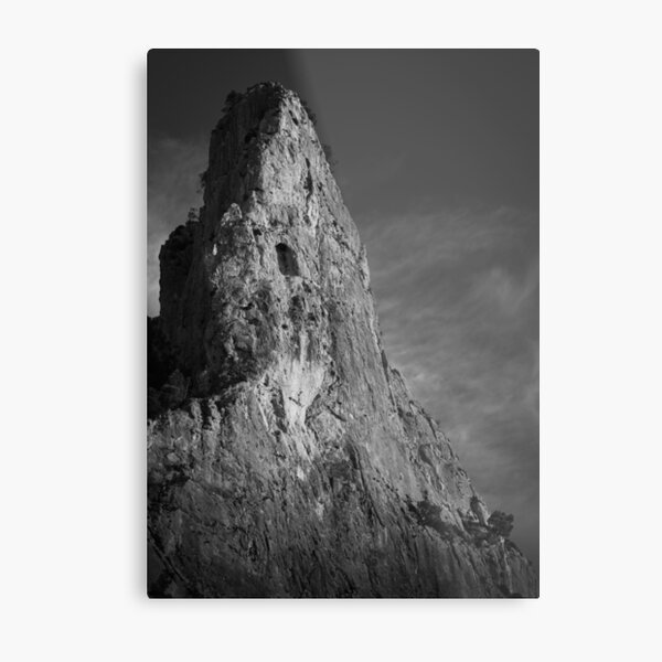 Metal Print