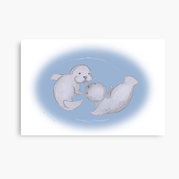 Baby Seals Canvas Print