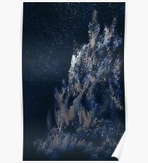 WDVMM - 0457 - Moonlight and Trees Poster