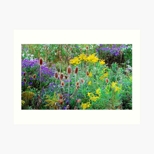 Wild Abundance Art Print