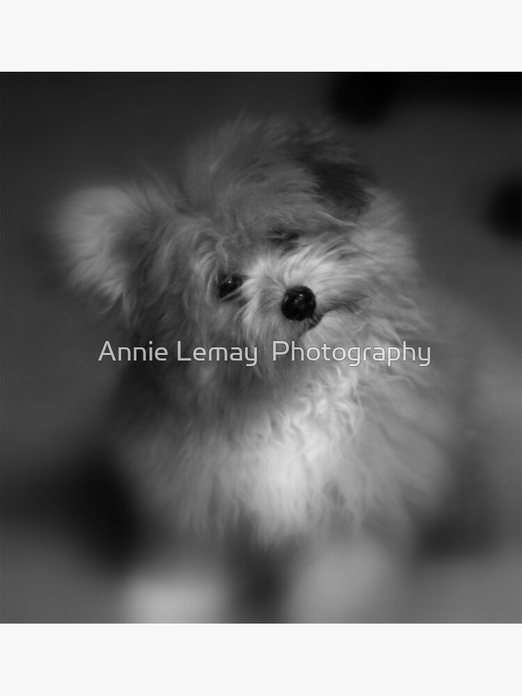 I Love You by ajlphotography