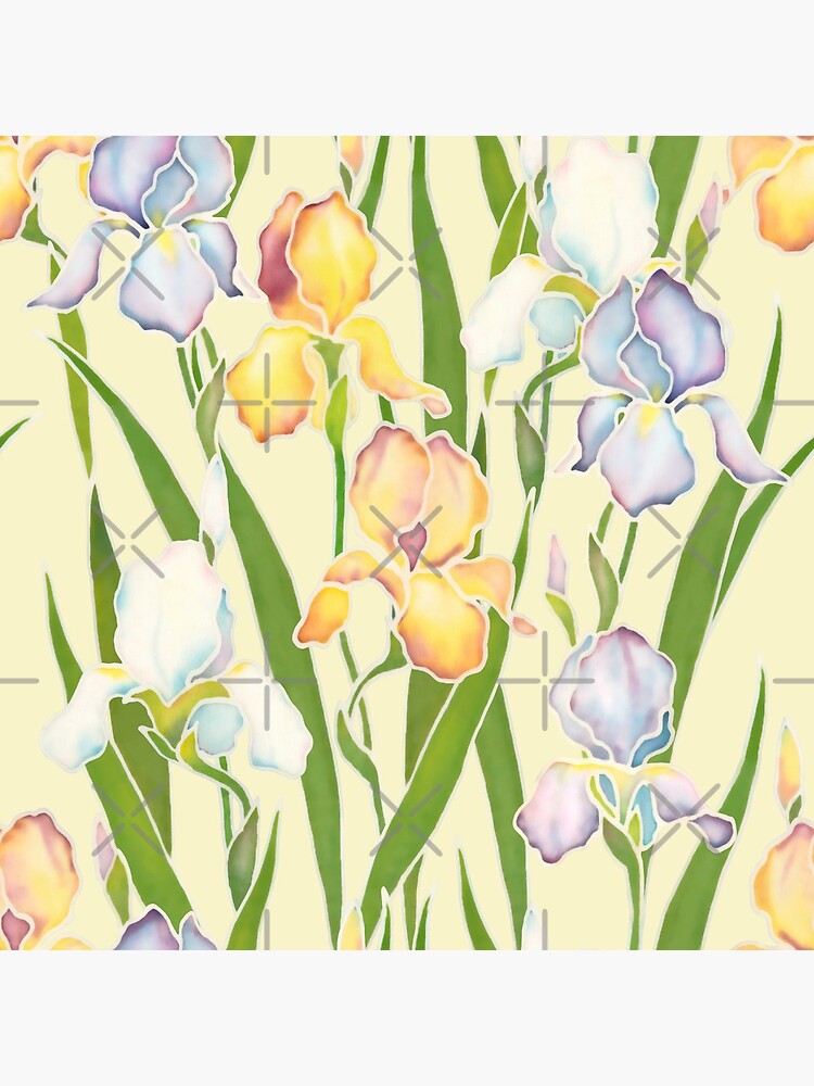 Creamy Irises by nadyanadya