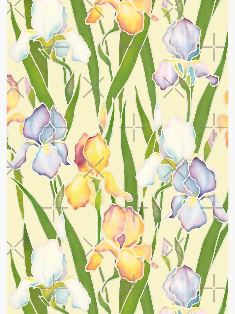 Creamy Irises by nadyanadya