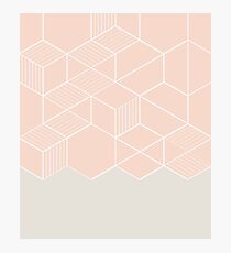 ROSE Photographic Print