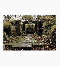 Falling Down Photographic Print