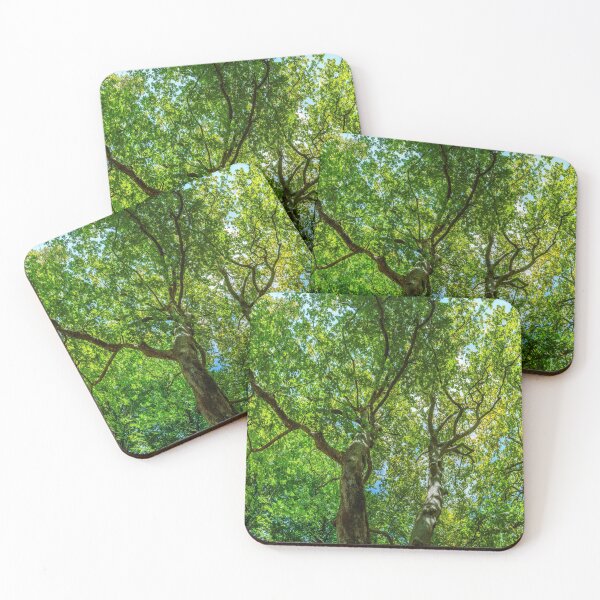 Item preview, Plane tree designed and sold by Lefteris Betsis.