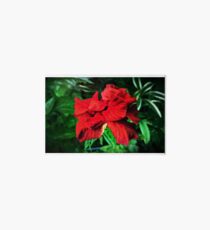 Iphone Cases Red Flower Art Board