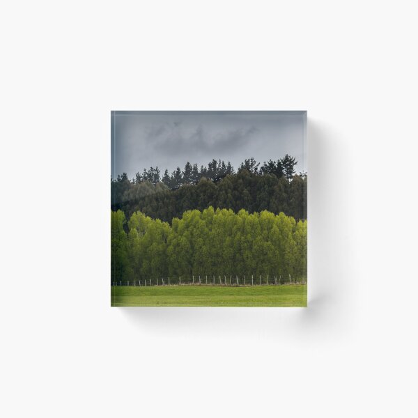 Item preview, Windbreak designed and sold by metriognome.