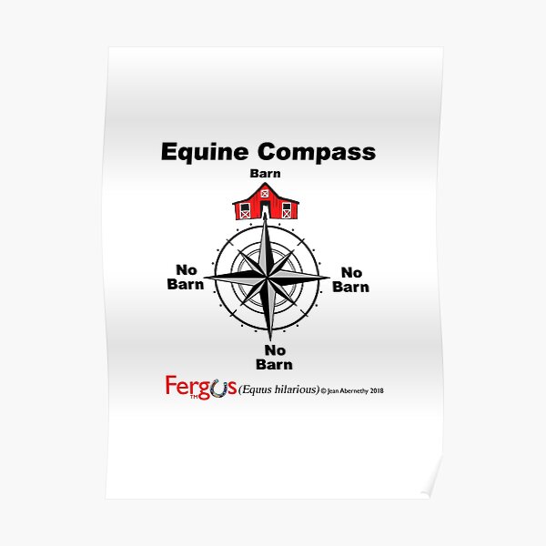Fergus the Horse: Equine Compass (black) Poster