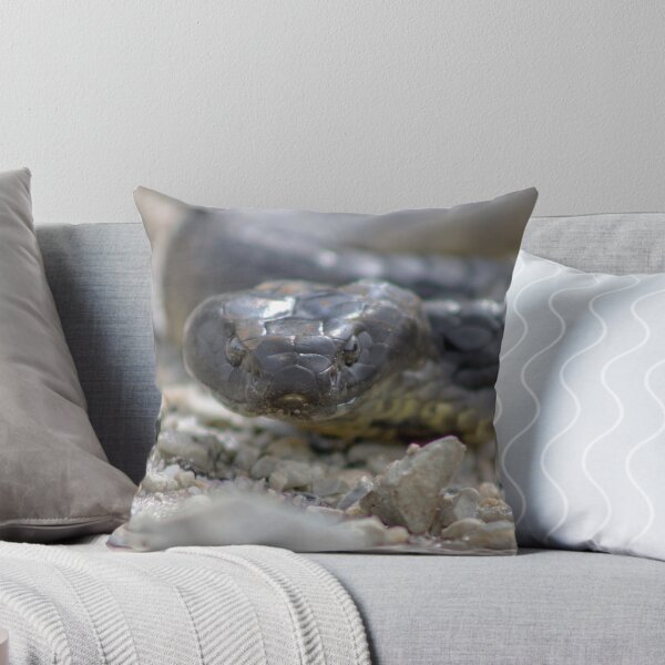Item preview, Reptile Rapture designed and sold by Elysian Photography.